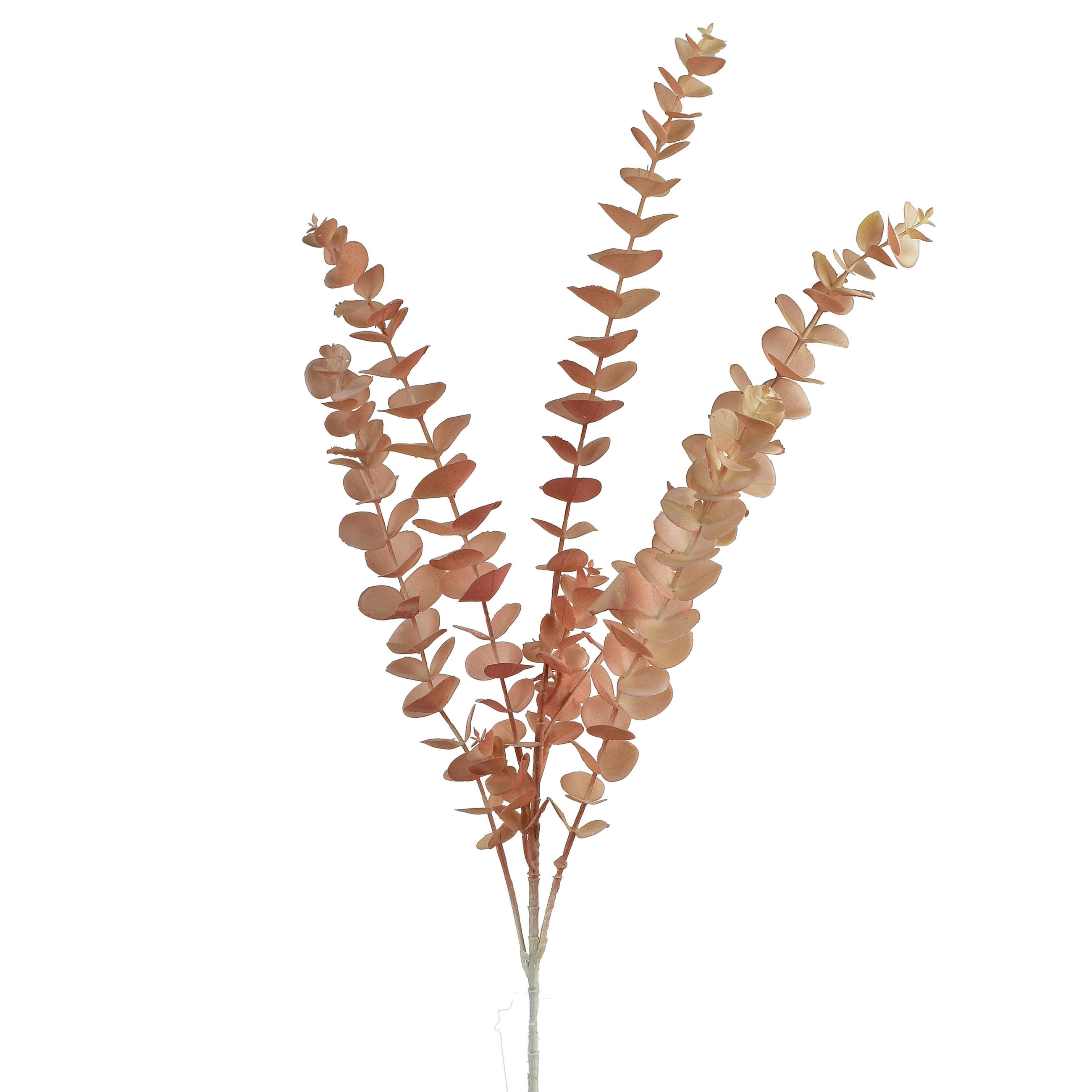 UMELÝ EUKALYPTUS VIRIDIS 80 cm zelená plast - béžová, plast (80cm) - Mondex