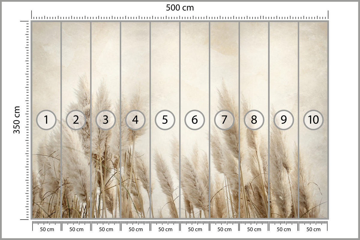 FOTOTAPETE für Schlafzimmer Boho Pampasgras Beton Pflanzen Vintage 500x350 - Beige/Braun, Papier (500/350cm) - Muralo