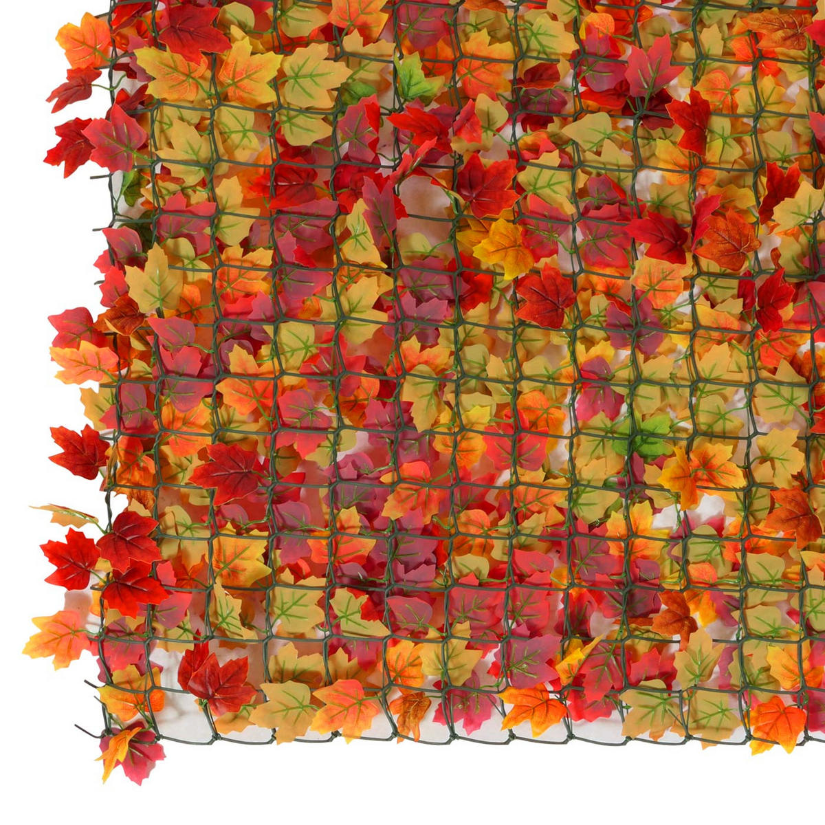 BALKONSICHTSCHUTZ BLATT Rot - Rot, Kunststoff (500/100cm) - MCW