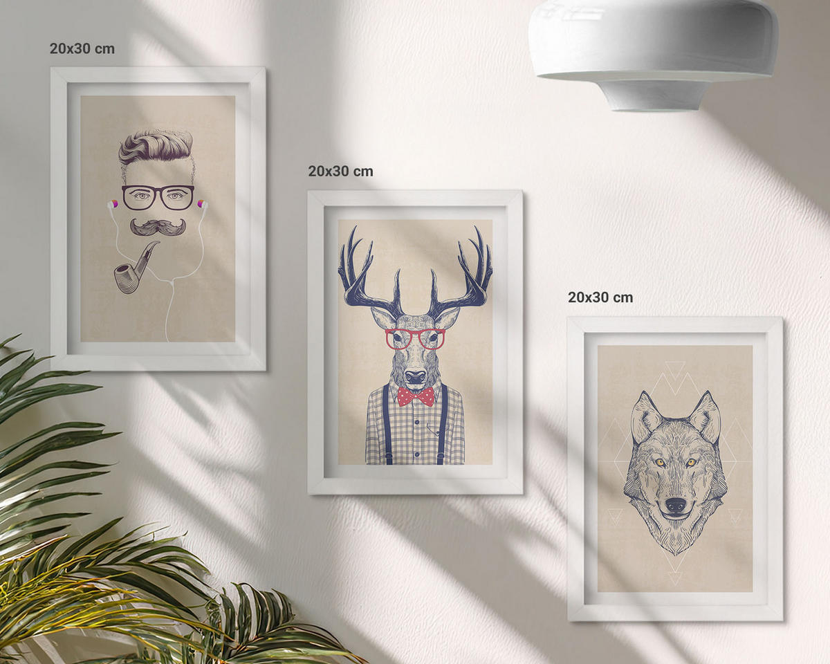 WANDBILDER 3er-Set - 20x30 cm Weißer Rahmen - Stilvolle Tierporträts - Weiß, Kunststoff (20/30cm) - ArtPrintCave