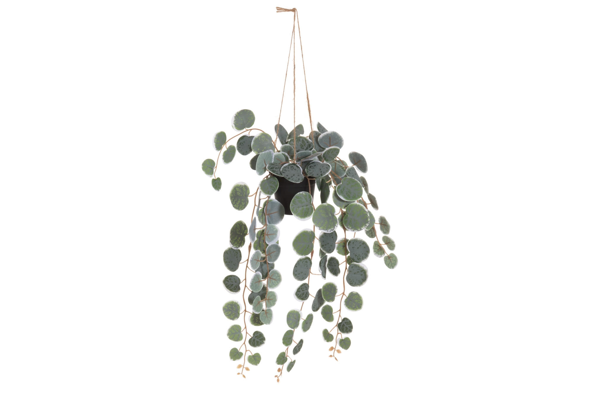 XXXLutz Hängepflanze Grün 40 cm