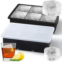 EISWÜRFELFORM 6er-Pack mit Deckel - Schwarz, Kunststoff (12/10/20cm)