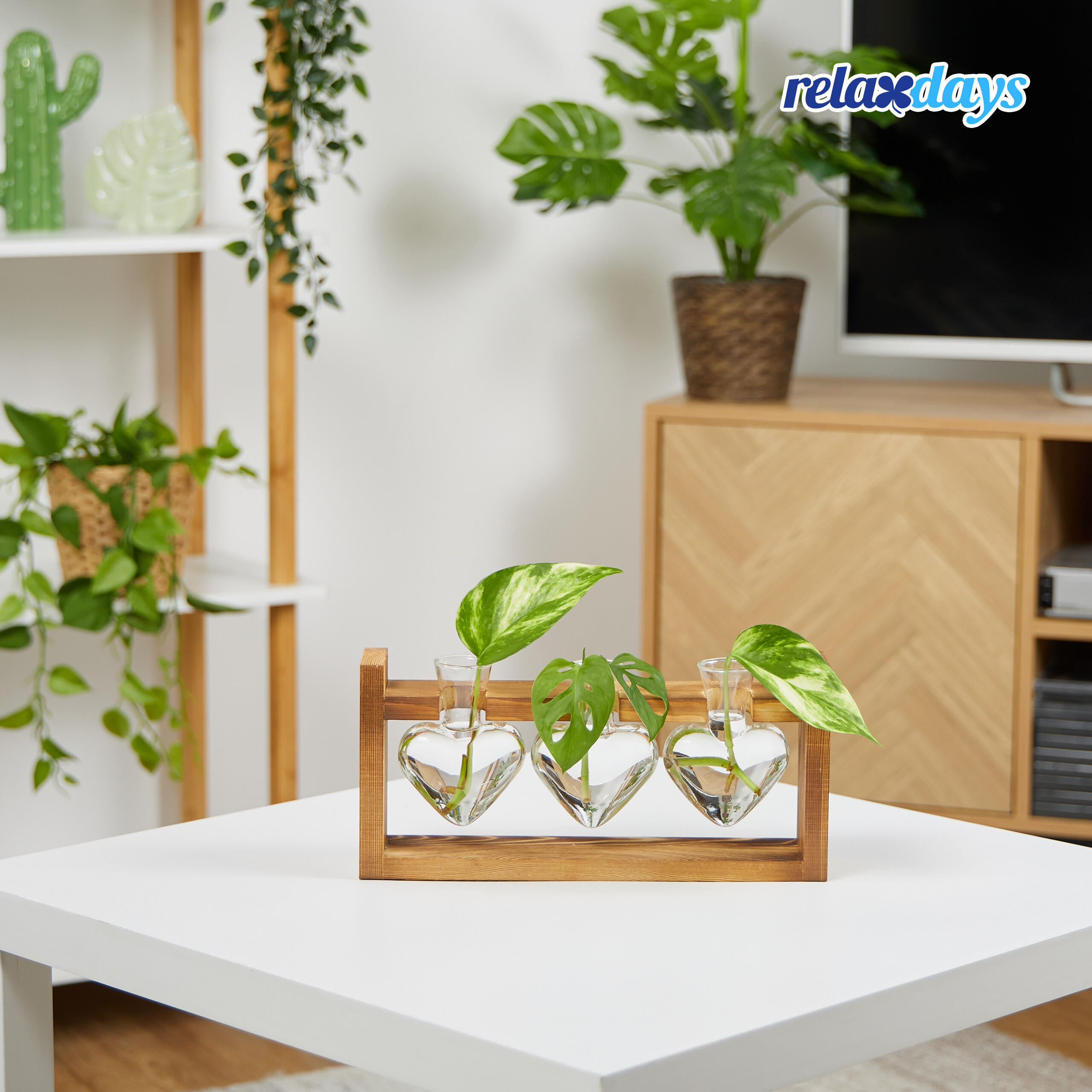 REAGENZGLAS-VASE - Multicolor, Glas/Holz (13cm) - Relaxdays