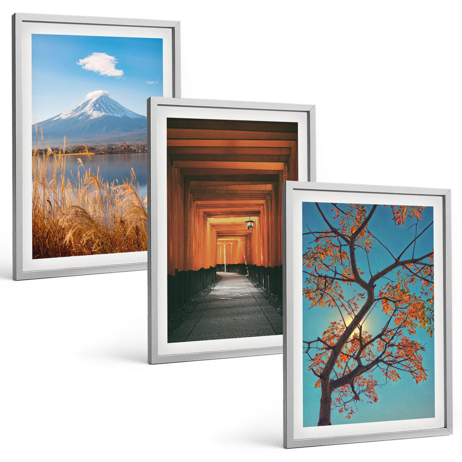 Tulup Bilder Silber 40x60 cm