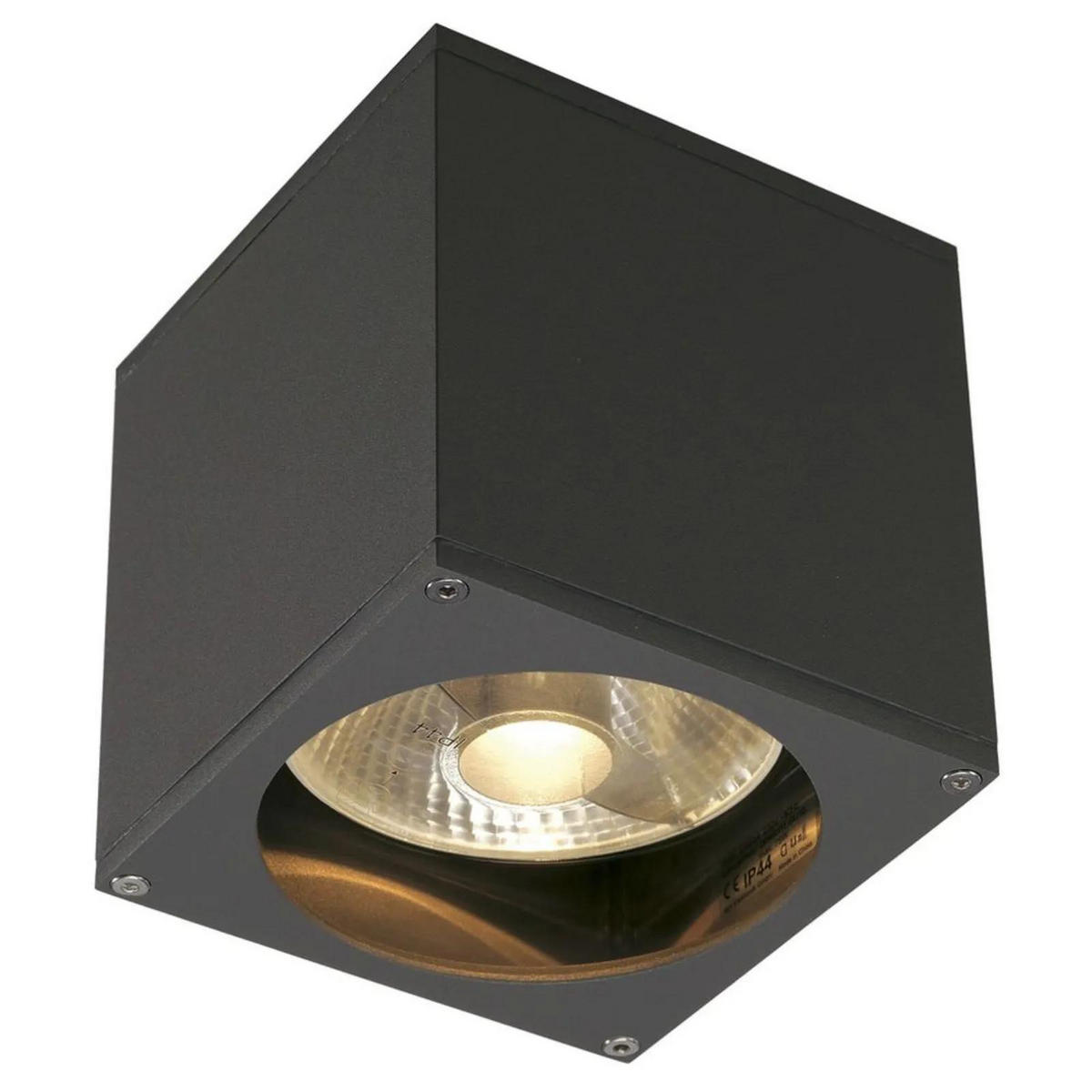 WAND- & DECKENLEUCHTE Big Theo - Anthrazit, Metall (13/13.5/13.5cm) - SLV