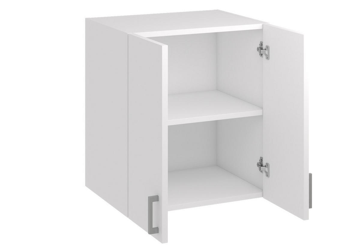 HÄNGESCHRANK G60 2D - Grau, Holzwerkstoff (60/60/31cm) - roe furniture