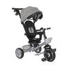 DREIRAD Revel 3 in 1 grau Freilauf Lenkstange Becherhalter Korb - Grau, Metall (55/54/78cm) - Lorelli