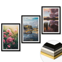 WANDBILDER 3er-Set - 40x60 cm Schwarzer Rahmen - Blumengarten Berge Wasser - Schwarz, Kunststoff (40/60cm) - ArtPrintCave