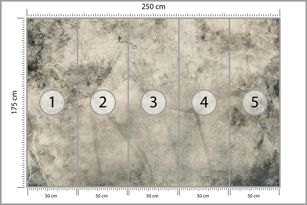 FOTOTAPETE Löwenzahnsamen Beton Vintage Stil 250x175 - Beige/Braun, Papier (250/175cm) - Muralo