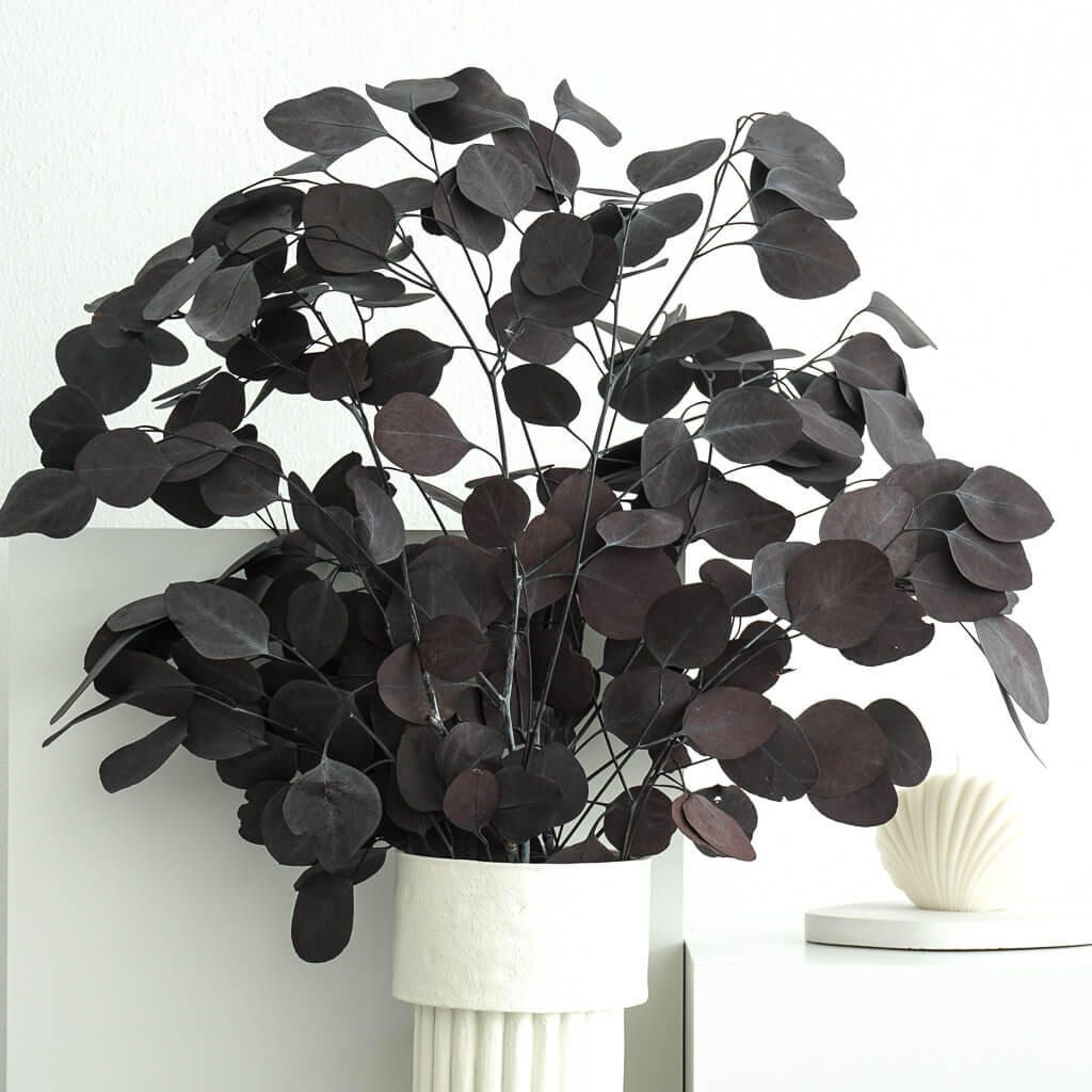 TROCKENBLUMEN Eukalyptus Popolus - der Runde Rot - Rot, Naturmaterialien (65cm) - Lykke & You