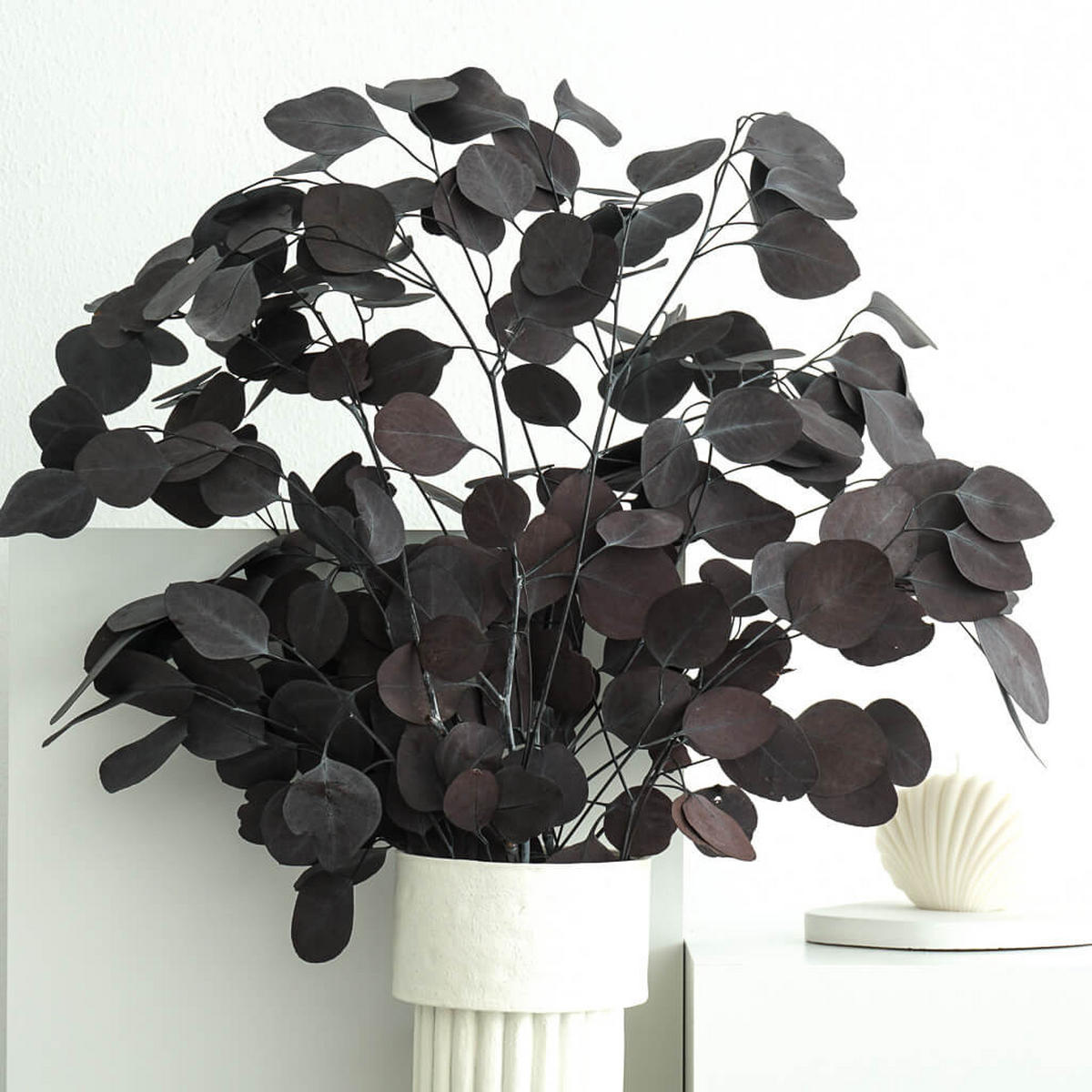 TROCKENBLUMEN Eukalyptus Popolus - der Runde Rot - Rot, Naturmaterialien (65cm) - Lykke & You