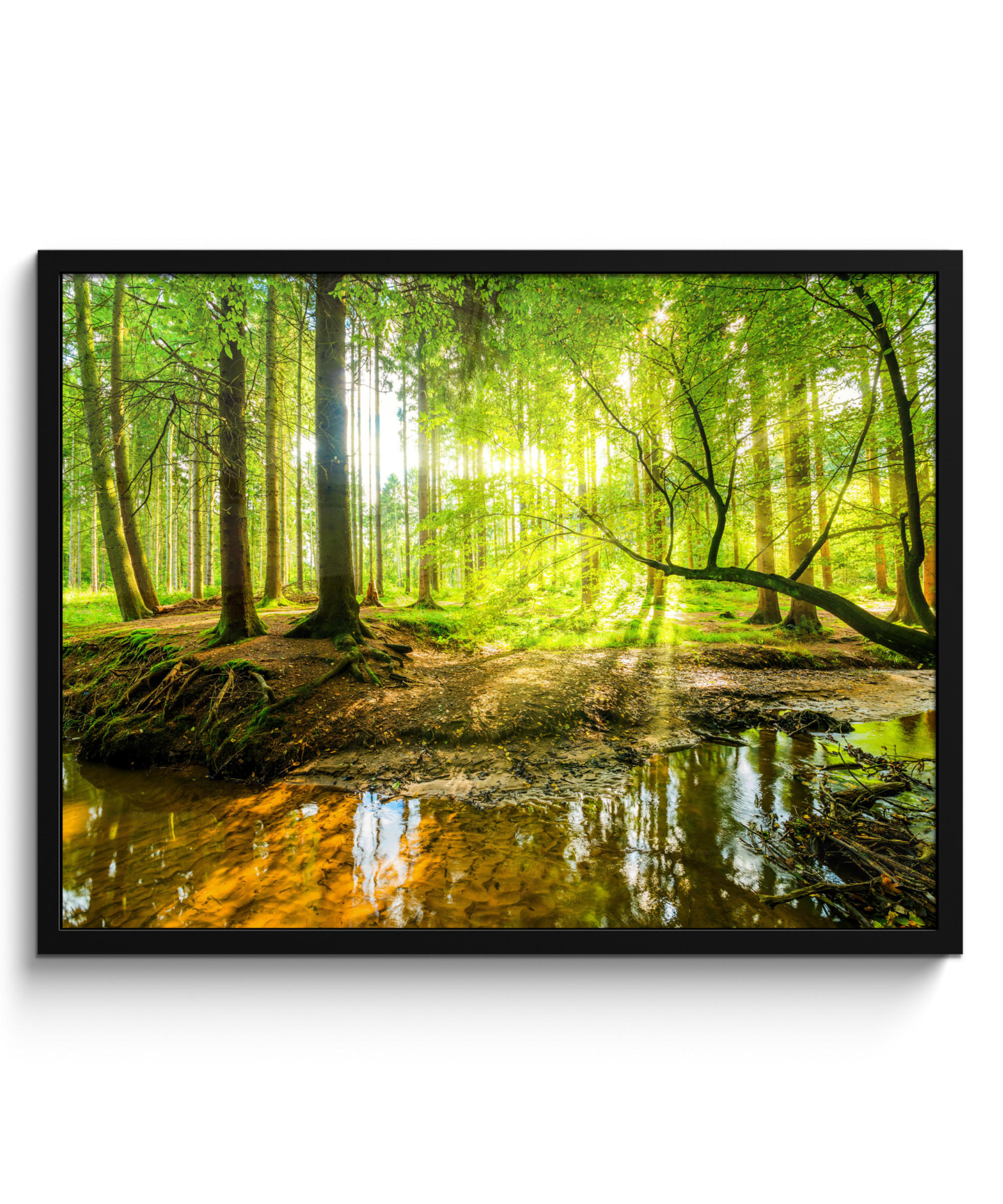 POSTER MIT RAHMENGERAHMTES BILD Wald - Landschaft - Wasser - Bäume - Sonne - Grün - Natur 80x60 cm - Grün, Papier (80/60cm) - MuchoWow