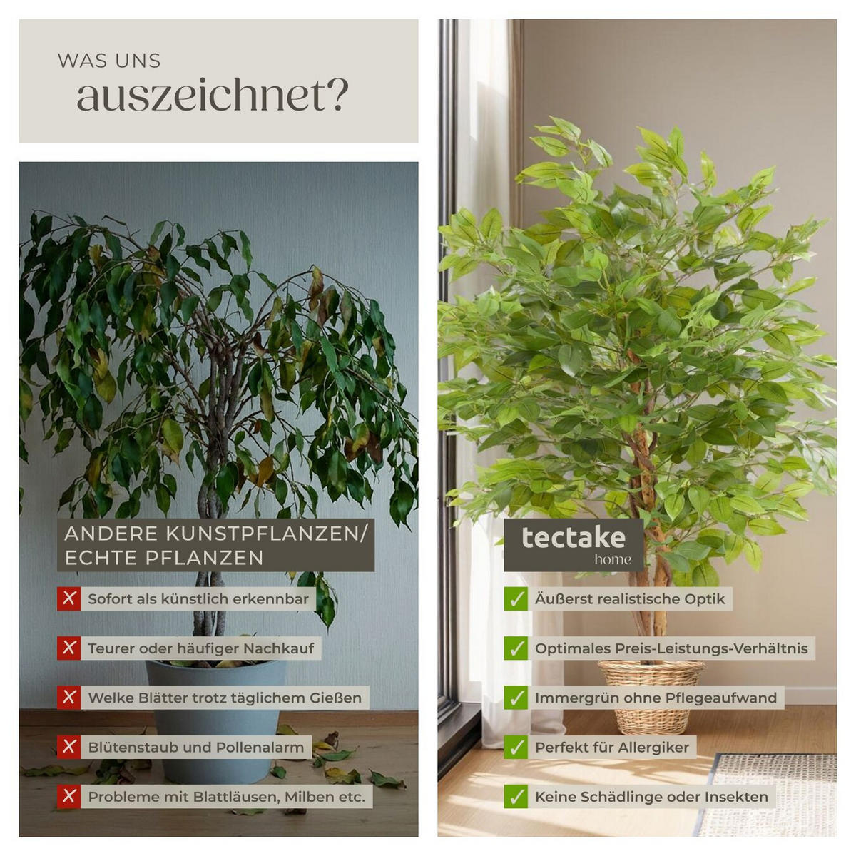 KÜNSTLICHER-FICUSBAUM Fida, stabiler Kunststoff-Blumentopf, grün - Grün, Kunststoff (120cm) - tectake