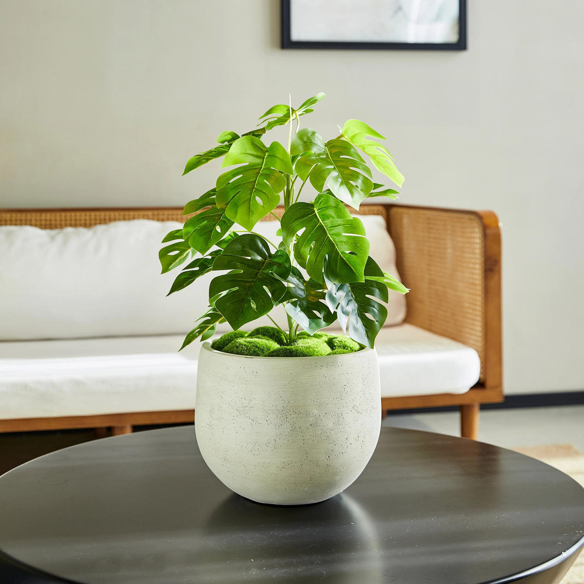 KUNSTPFLANZE Künstlicher Monstera – Alenia 50 cm - Grün, Kunststoff (50cm) - aplanta