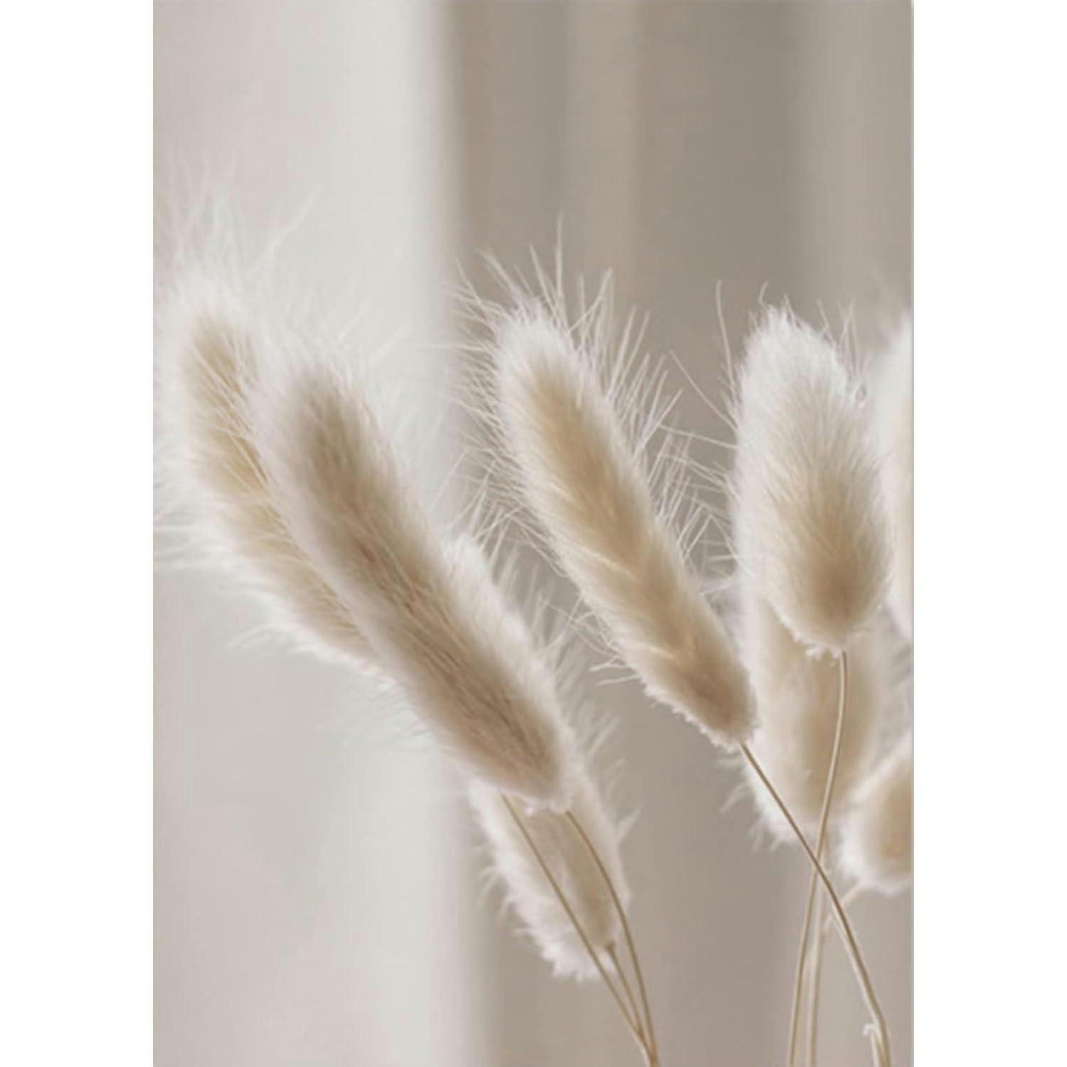 POSTER Set 3-teilig Schilf Natur 30x40 cm - Beige, Papier (30/0.1cm)