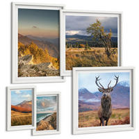 BILDER SET 5er Set - 50x50 cm & 20x30 cm & 40x60 cm Weißer Rahmen - Berglandschaften, Hirschgras - Weiß, Kunststoff (40/60cm) - TULUP