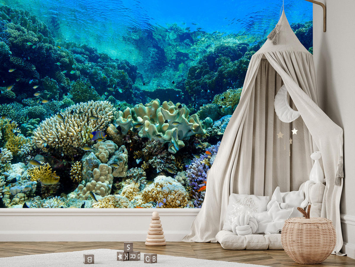 FOTOTAPETE Unterwasserwelt Korallenriff Bunte Fische Meer Natur 400x280 - Türkis/Gelb, Papier (400/280cm) - Muralo