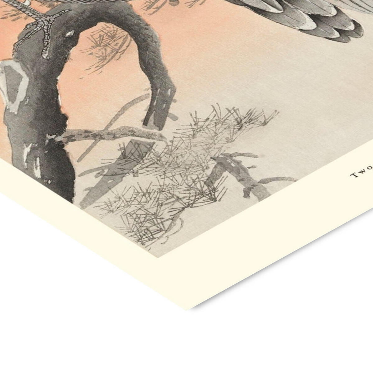 POSTER mit Rahmen A.P. Atelier - Two Peacocks on Tree Branch - Multicolor/Schwarz, Holz/Papier (70/100cm) - Poster&Frame