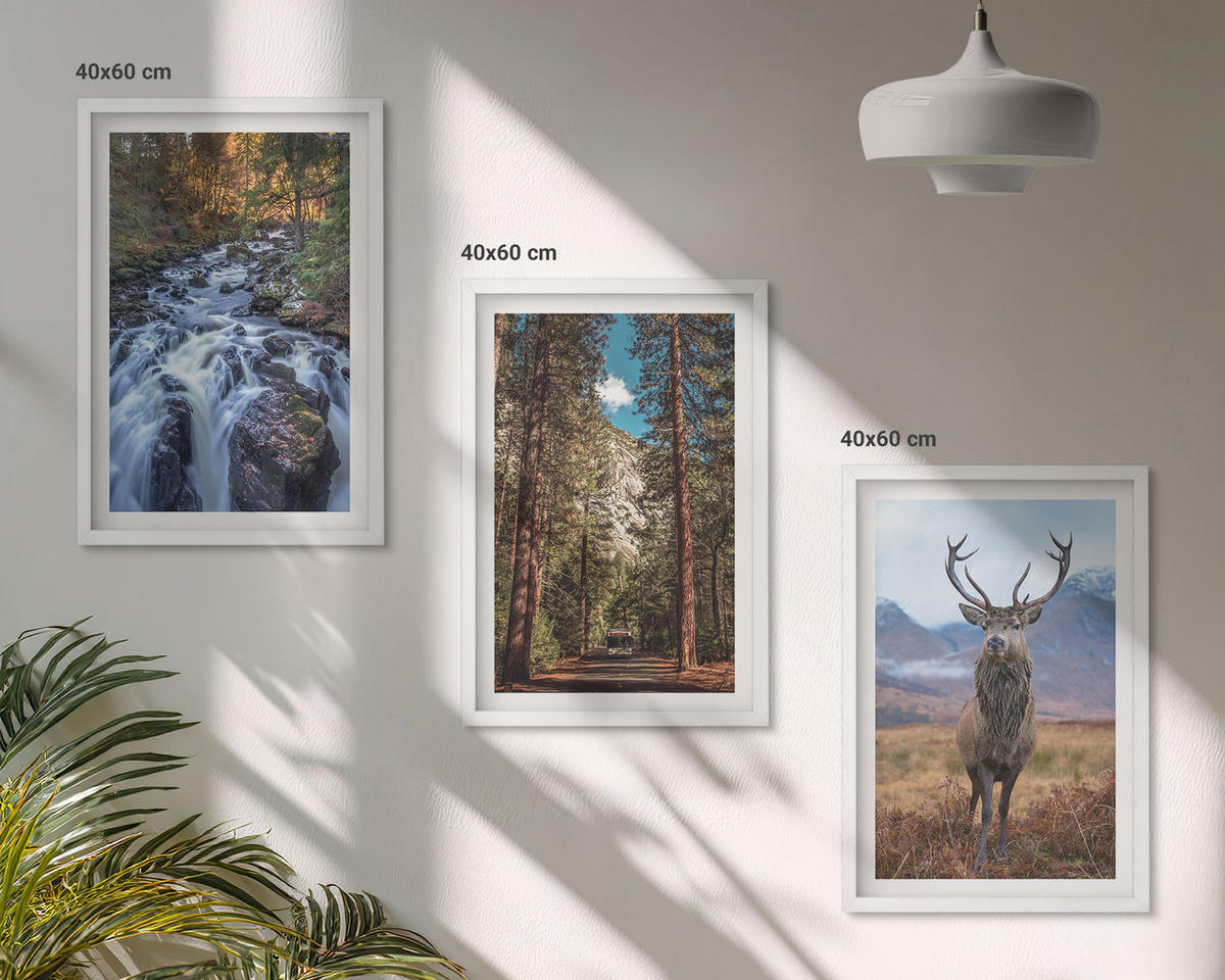 WANDBILDER 3er-Set - 40x60 cm Weißer Rahmen - Wasserfall Wald Berge Hirsch Natur - Weiß, Kunststoff (40/60cm) - ArtPrintCave