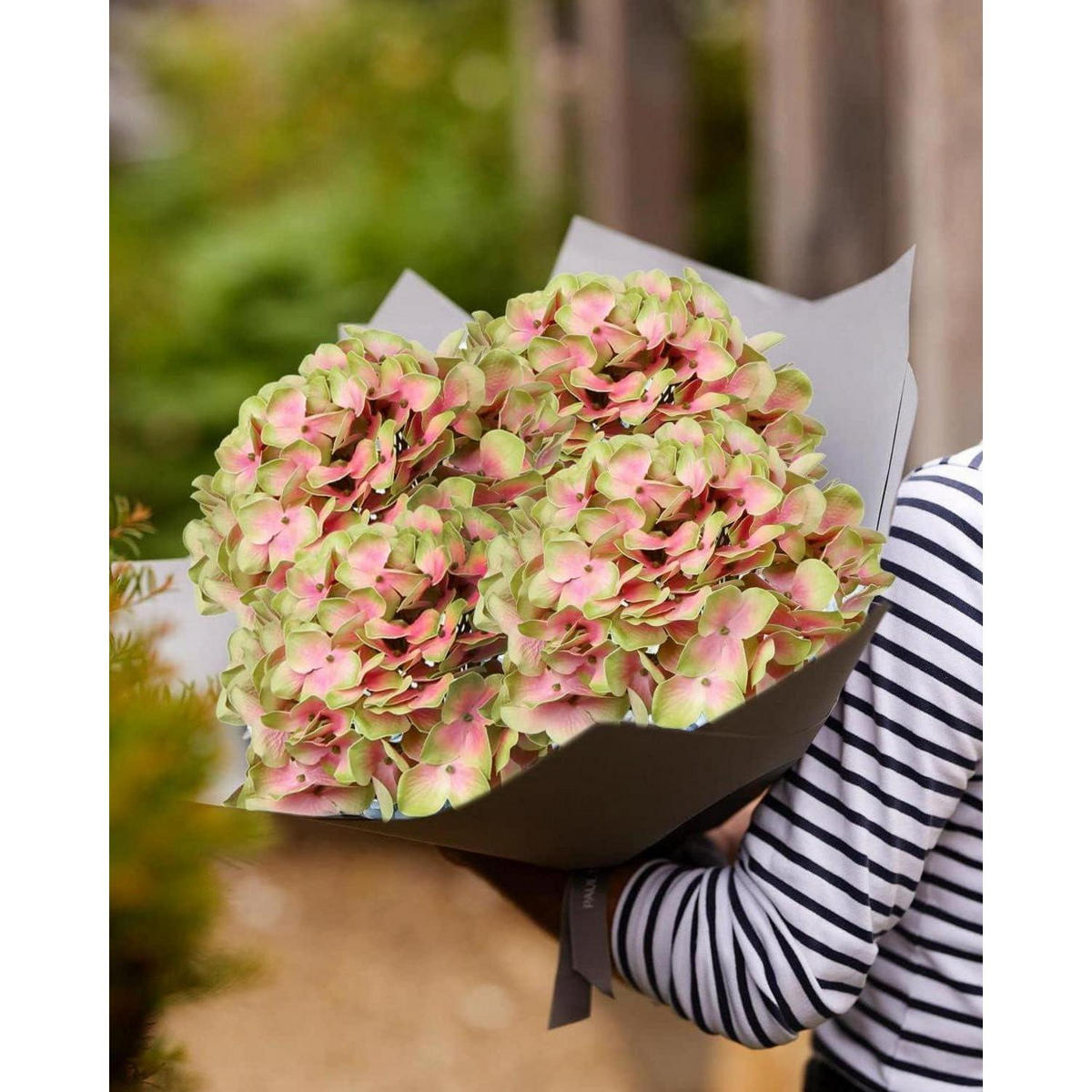 KUNSTBLUME Hortensie 63 cm 2 Stück Set Green Yellow - Multicolor, Kunststoff (10cm)