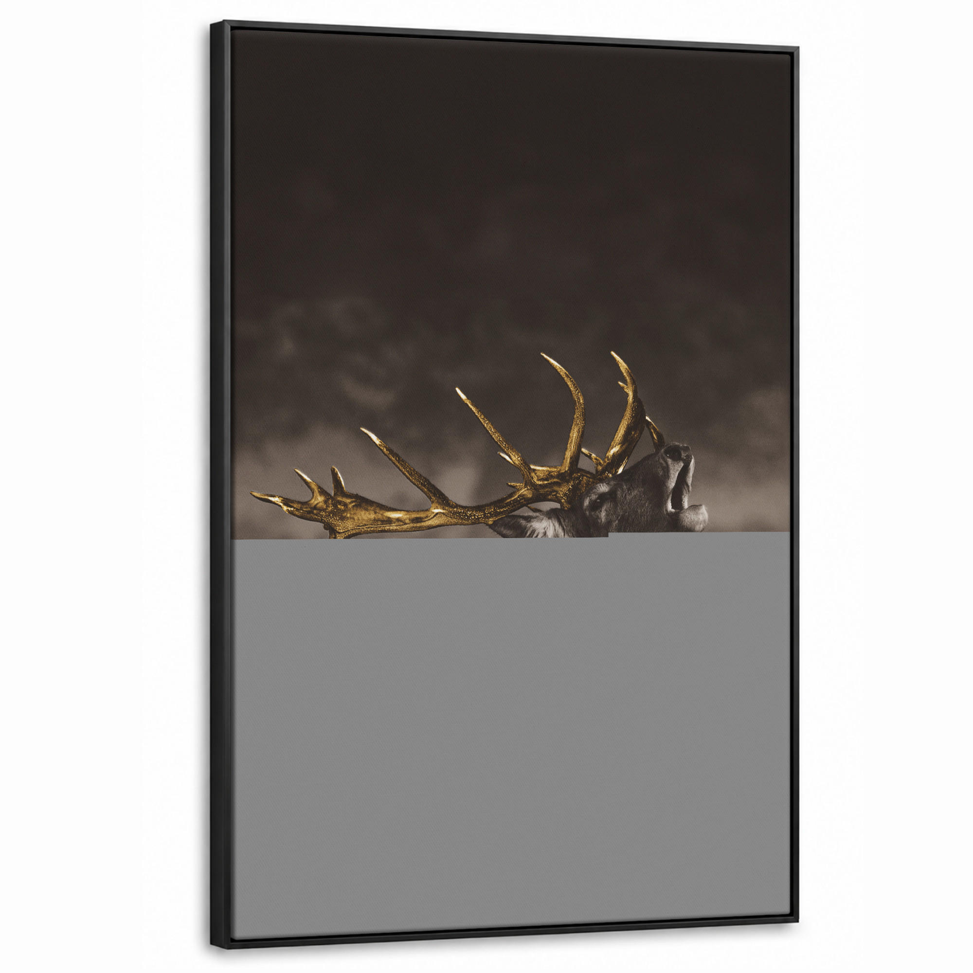 MuchoWow Leinwand Braun 80x120 cm