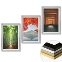 WANDBILDER 3er Set - 40x60 cm Silberner Rahmen - Fuji-Bambuswaldlandschaft - Silberfarben, Kunststoff (40/60cm) - ArtPrintCave
