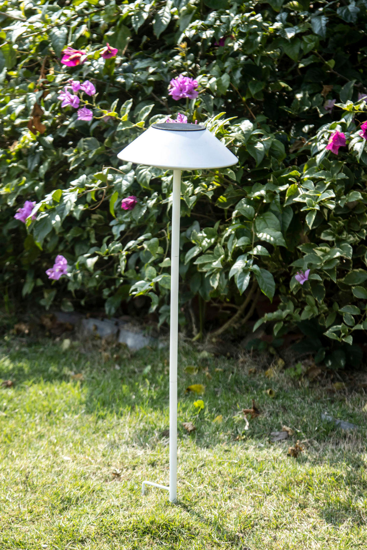 LED-SOLAR-GARTENLEUCHTE Tischleuchte weiß - Weiß, Kunststoff (5/5/5cm) - Northpoint