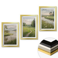 WANDBILDER 3er Set - 20x30 cm Goldrahmen - Sommerliche Flusswiesen voller Blumen - Goldfarben, Kunststoff (20/30cm) - ArtPrintCave