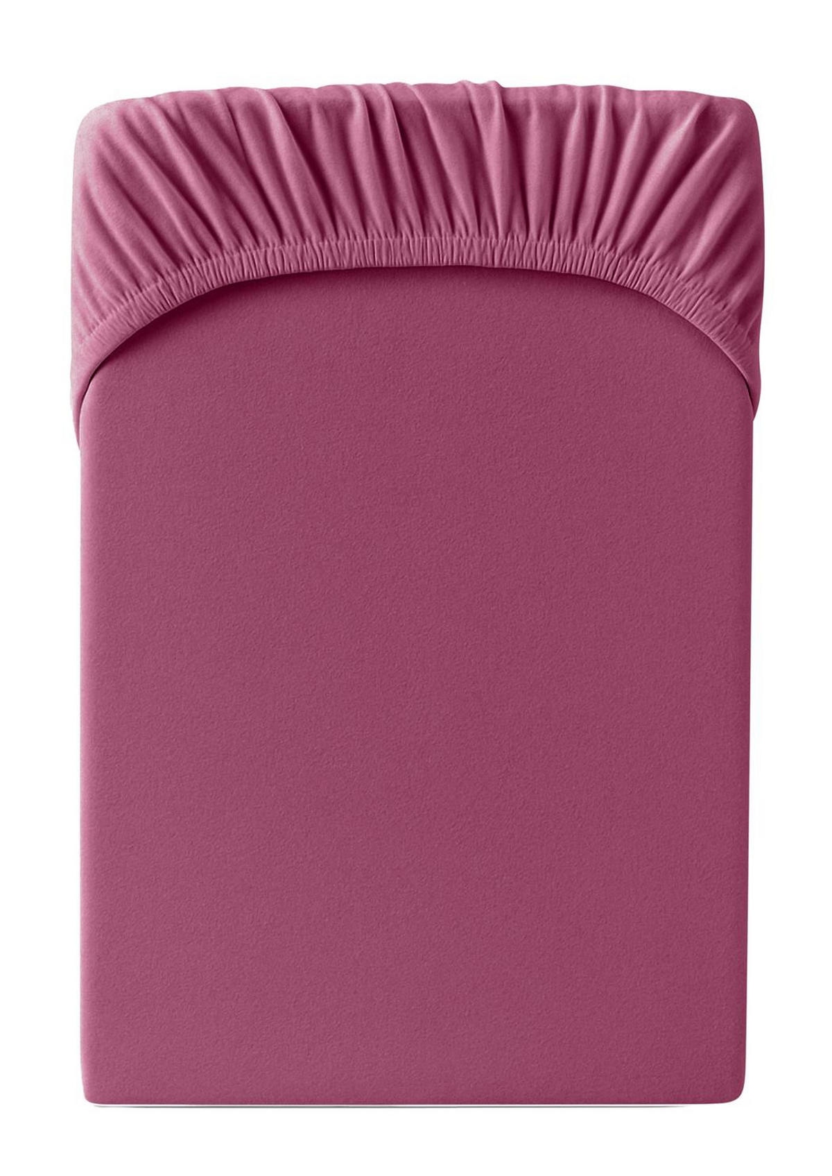 JERSEY-SPANNBETTLAKEN 90x200 - 100x200 cm, Bettlaken aus 100% Baumwolle mit Rundum-Gummizug, Spannbetttuch Brombeere - Brombeere, Textil (100/200cm) - Carpe Sonno