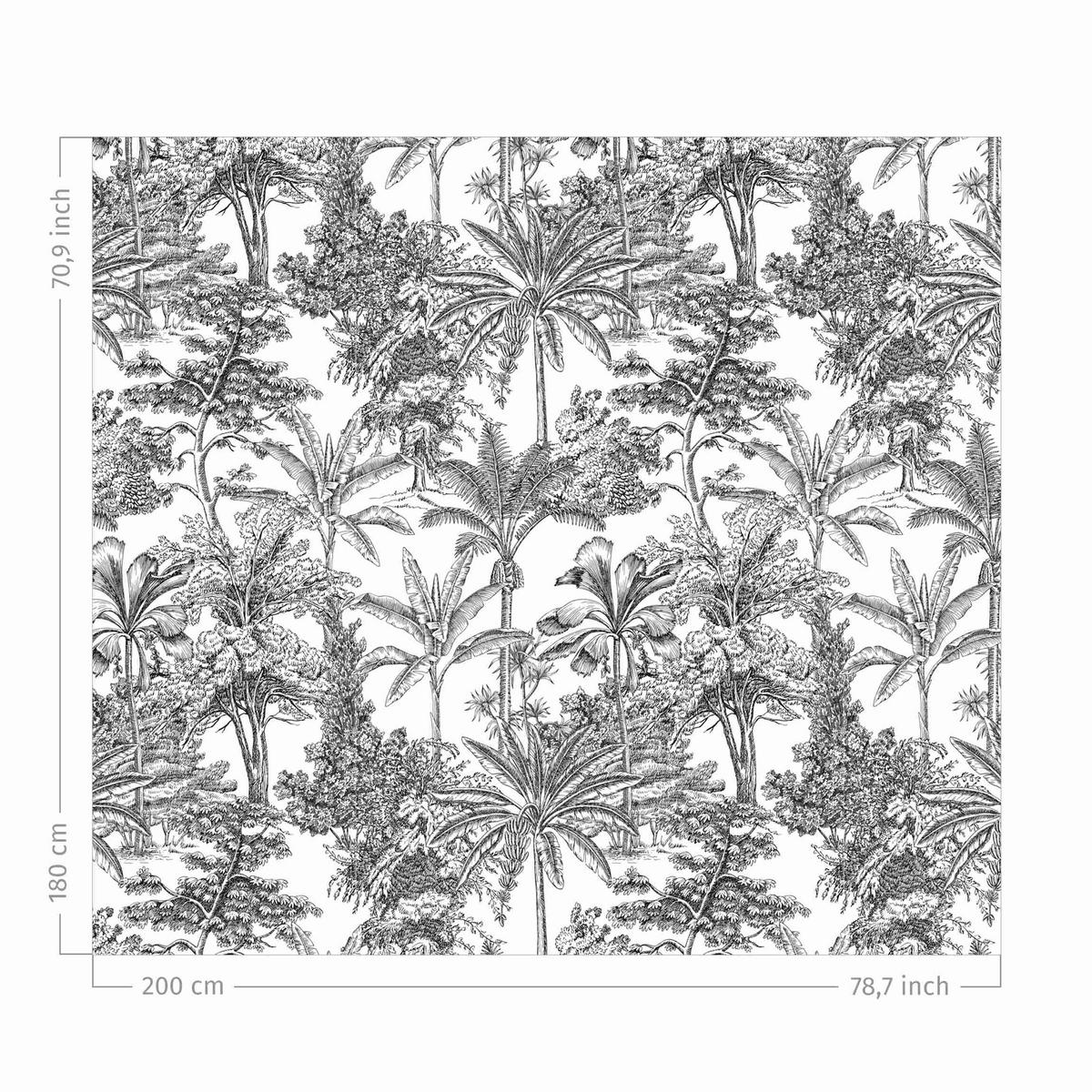 DUSCHVORHANG Kupferstichanmutung - Tropische Palmen 200/180 cm - Schwarz, Textil (200/180cm) - Bilderwelten