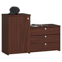 SKŘÍŇ NA BOTY Tmavě hnědá 68/98,4/33 - tmavě hnědá, kompozitní dřevo (98.4/68/33cm) - RAUMHIRSCH FURNITURE