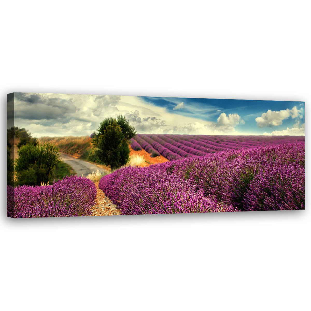 WANDBILD lavendellandschaft - Lila, Textil (90/30cm) - Feeby