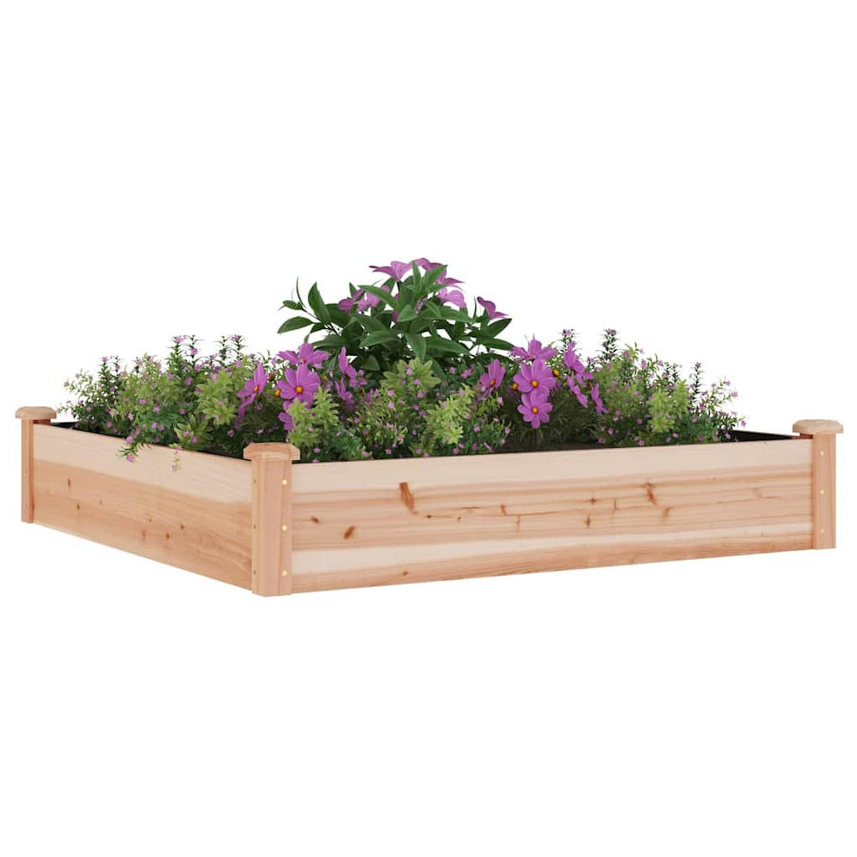 HOCHBEET mit Einsatz 120x120x25 cm Massivholz Tanne - Naturfarben, Holz (120/25/120cm)