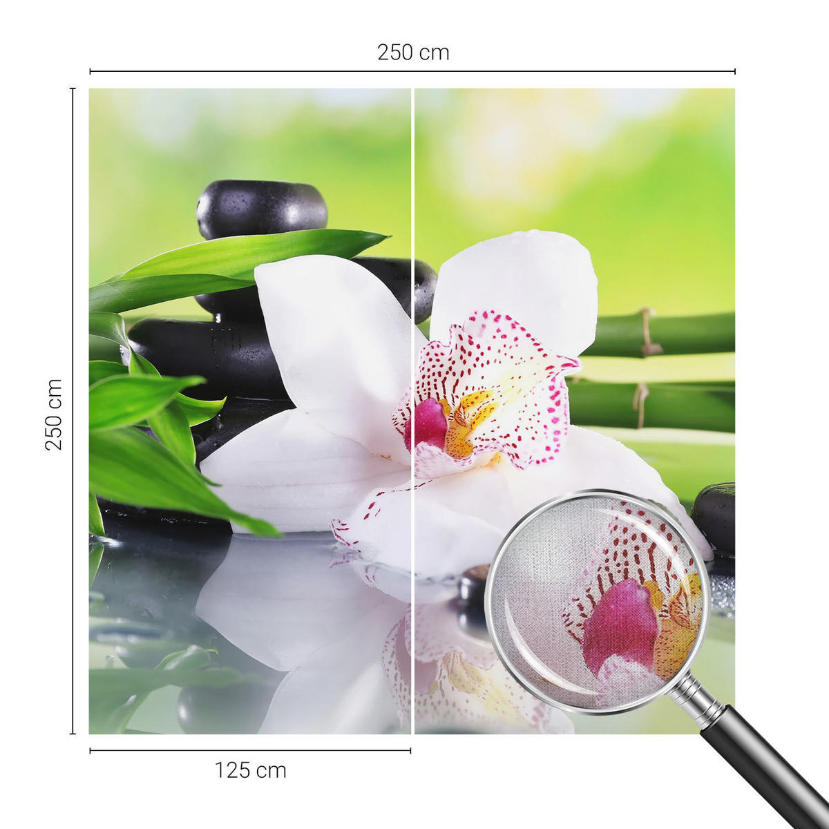 FOTOTAPETE 250x250 cm - Die Ruhe der Natur - Grün, Textil (250/250cm) - Wallfluent