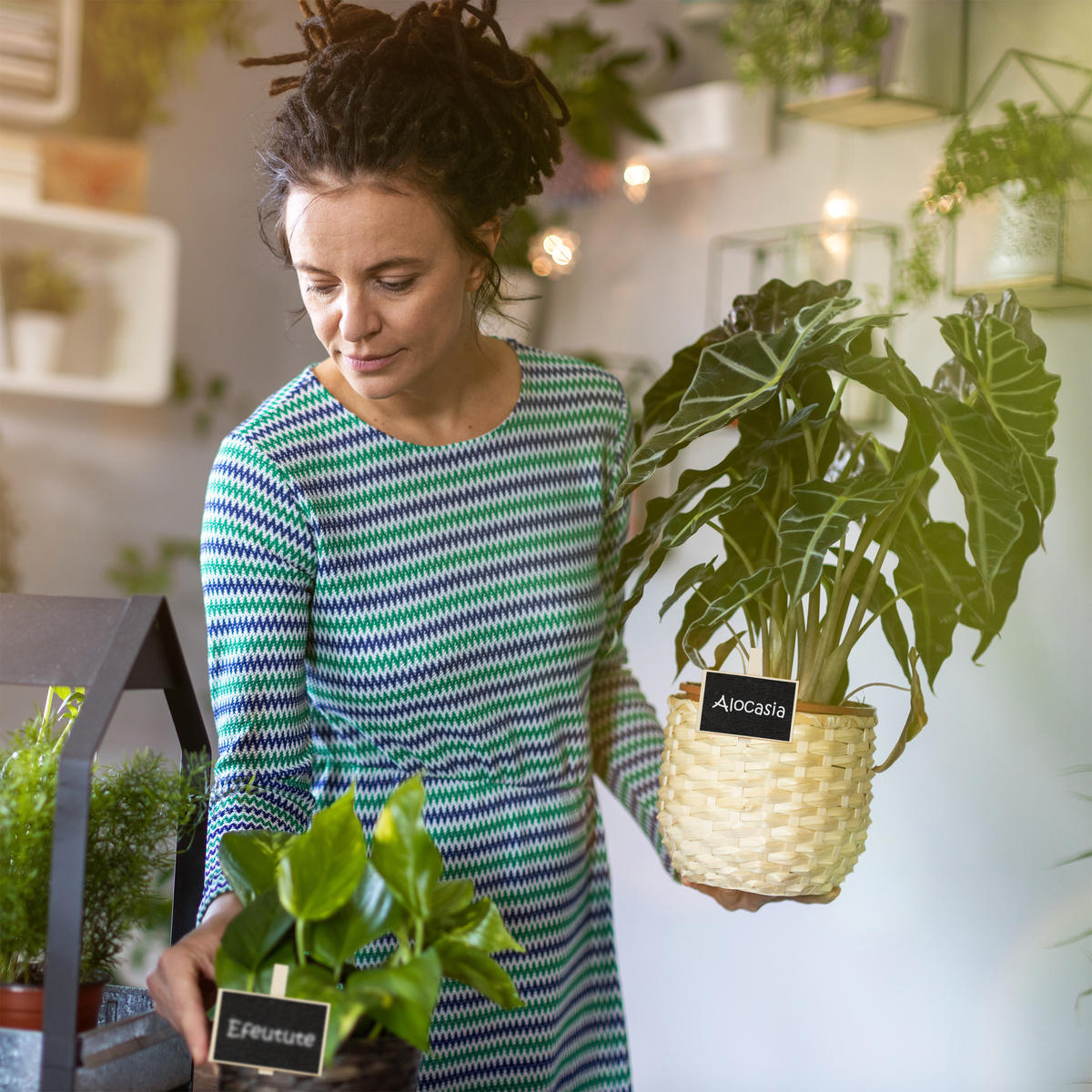 20XKOPČE - svijetlo smeđa, drvo (7.5/7/1.5cm) - Relaxdays