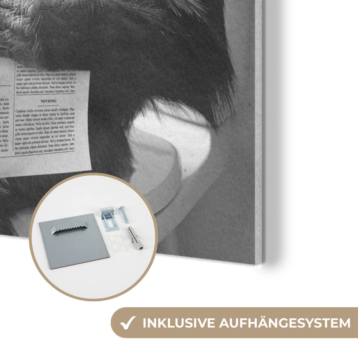 AKUSTIKPANEEL Affe - WC - Zeitung - Schwarz-Weiß - Humor 70x100 cm - Hellgrau, Textil (70/0.9/100cm) - MuchoWow