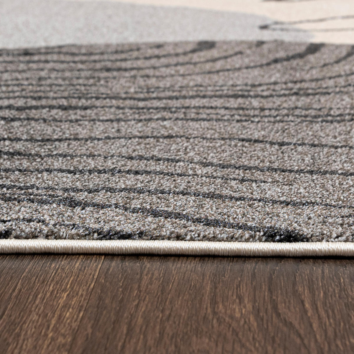 TEPPICH Beige Geometrisch In-Outdoor Pflanzlich Kurzflor Rechteckig 200 x 300 cm - Hellgrau, Textil (200/300cm) - Mazovia