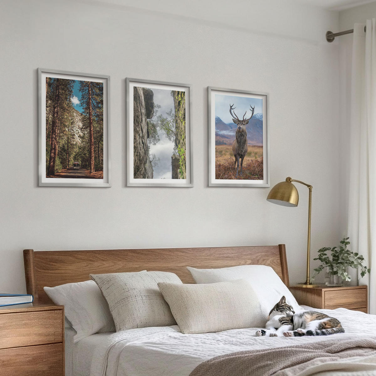 WANDBILDER 3er Set - 40x60 cm Silberner Rahmen - Straße Wald Berge Hirsch Natur - Silberfarben, Kunststoff (40/60cm) - ArtPrintCave