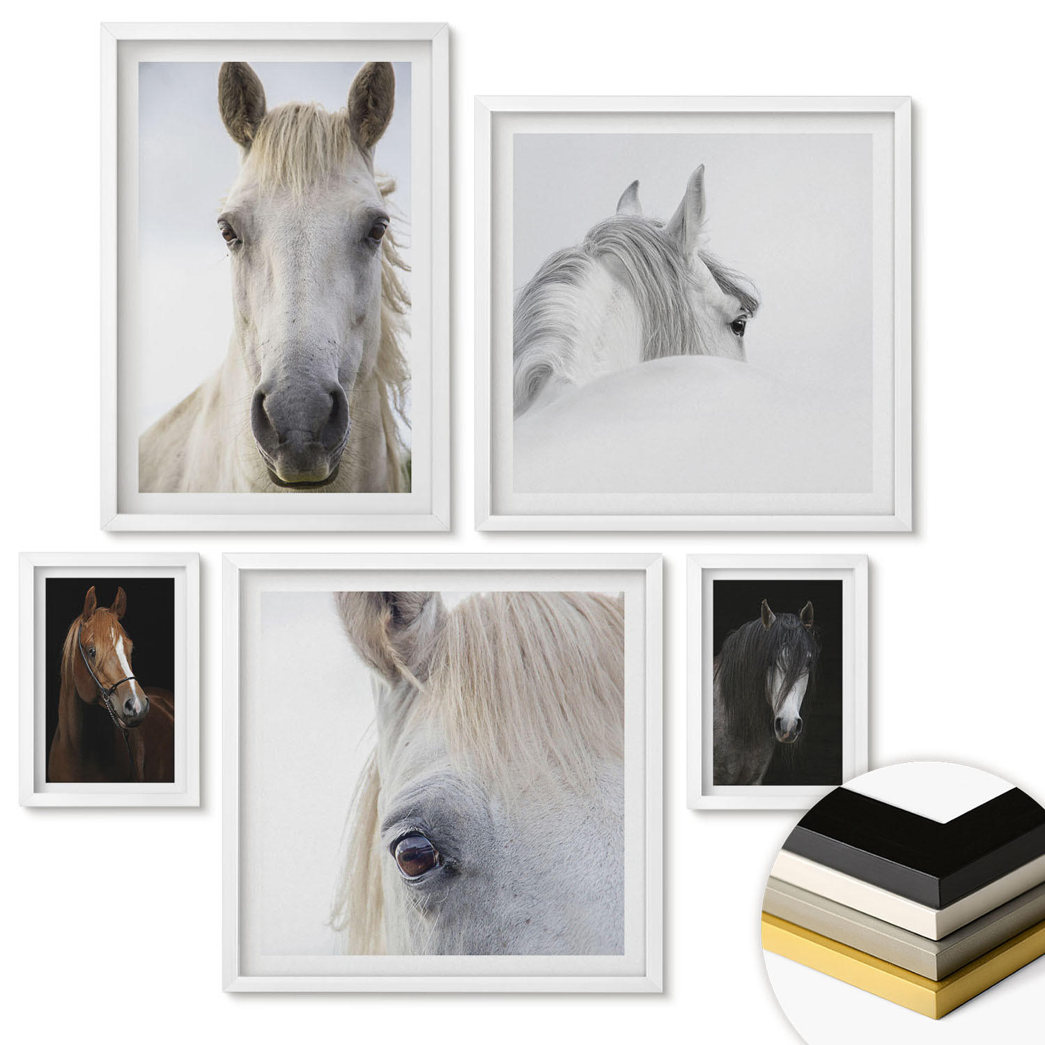 WANDBILDER 5er-Set - 50x50 cm & 20x30 cm & 40x60 cm Weißer Rahmen - Pferdeporträts in Schattierungen - Weiß, Kunststoff (40/60cm) - ArtPrintCave