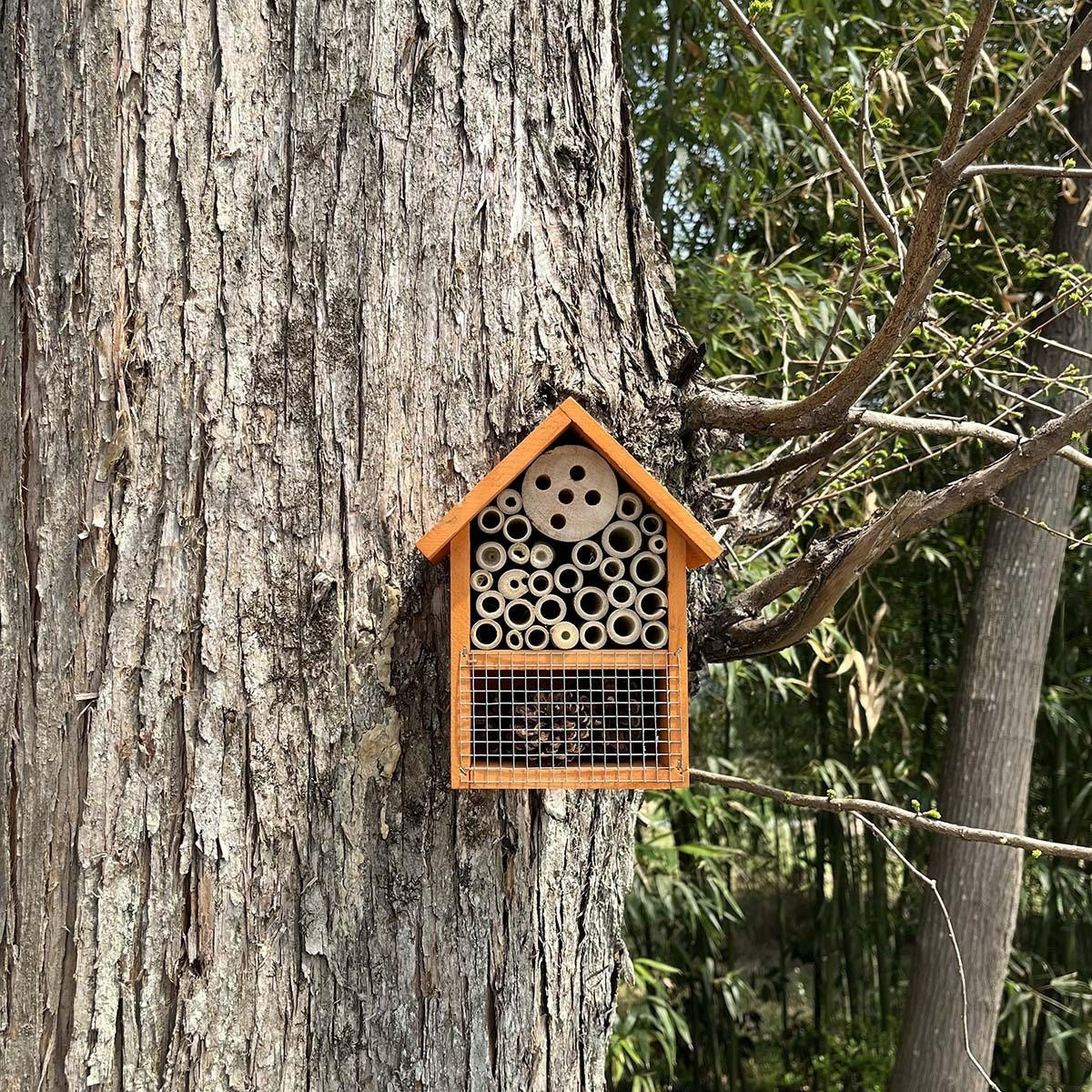 INSEKTENHOTEL 15.5/7.2/19.5 cm Rotbraun - Rotbraun, Holz (7.2/19.5/15.5cm) - Authentics