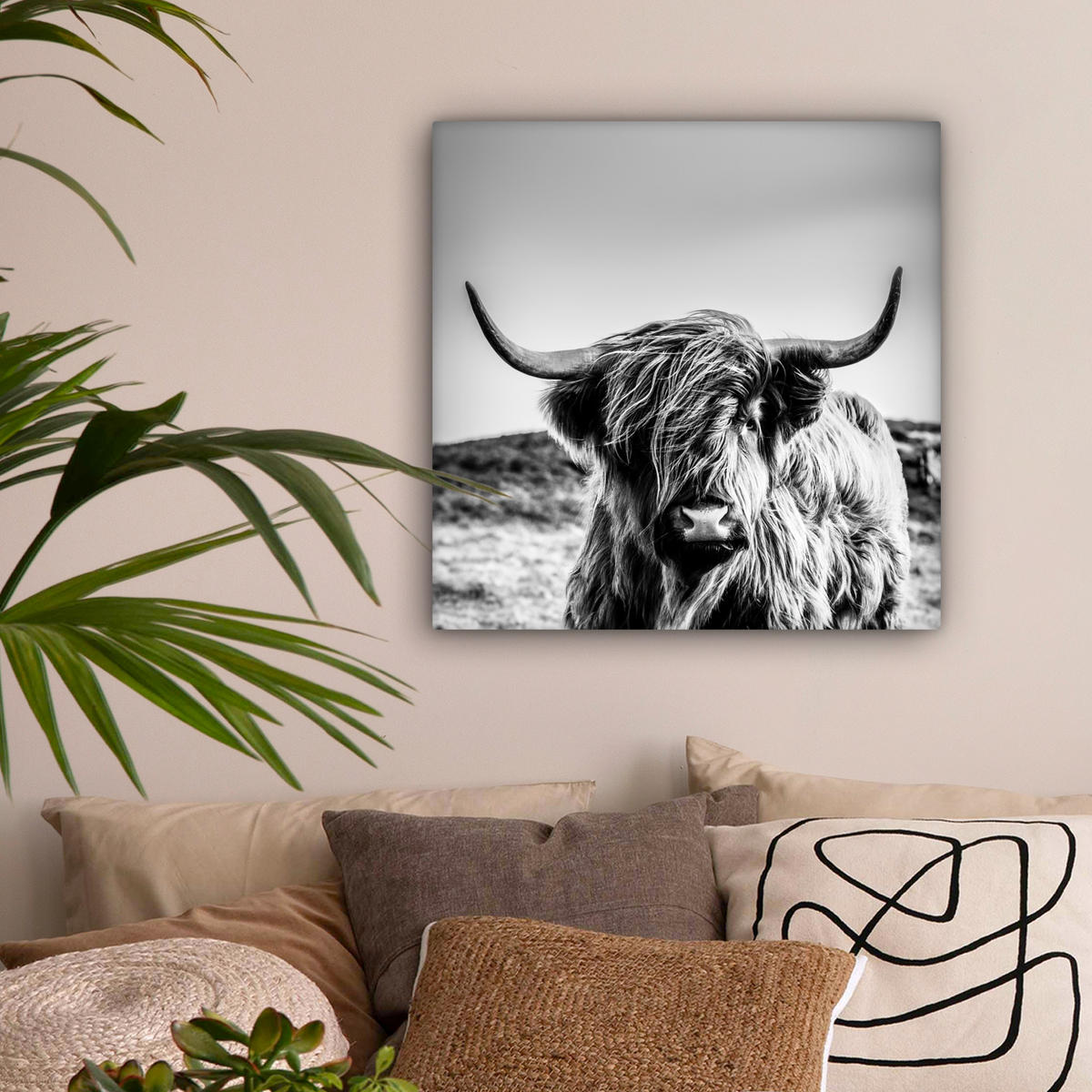 OBRAZ NA PLÁTNĚ Kráva - Skotský horal - Černá - Bílá - Zvíře - Příroda - Divoká zvěř 50x50 cm - černá, textil (50/50cm) - MuchoWow
