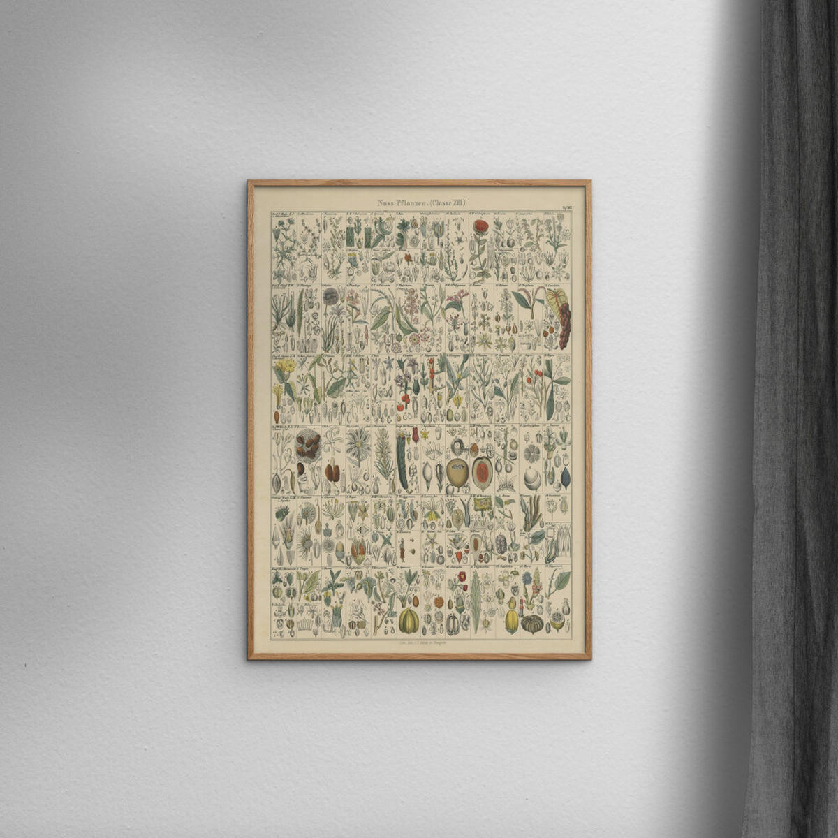 POSTER Wild Apple - Flora Chart II - Grün, Papier (30/40/0.1cm) - Poster&Frame