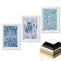 WANDBILDER 3er-Set - 20x30 cm Weißer Rahmen - Winterwald blaue Blume Wasser - Weiß, Kunststoff (20/30cm) - ArtPrintCave