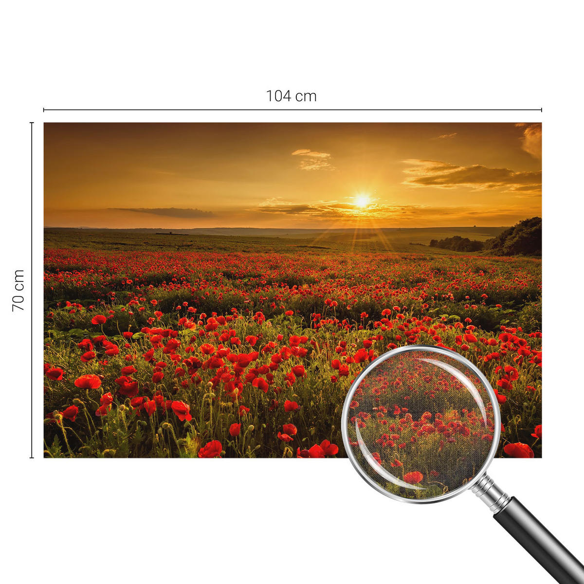 FOTOTAPETE 104x70 cm - Mohnfeld - Rot, Textil (104/70cm) - Wallfluent