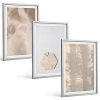 BILDER SET 3er Set - 40x60 cm Silberner Rahmen - Subtile Texturen, Boho-Natur - Silberfarben, Kunststoff (40/60cm) - TULUP