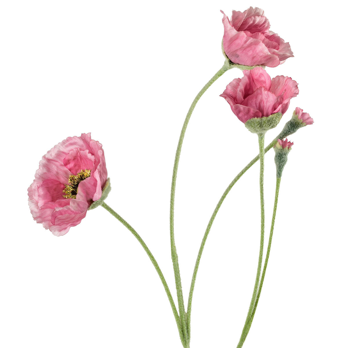 KVĚTINA, plast, růžová - růžová, plast (67cm) - Mondex