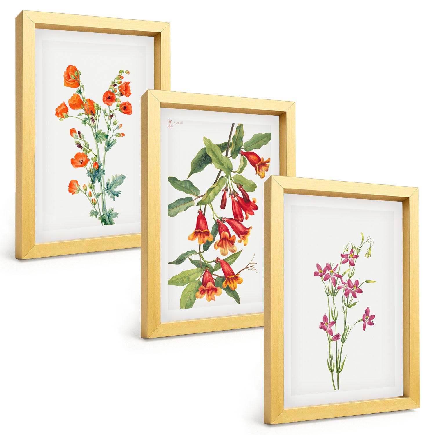 BILDER SET 3er Set - 20x30 cm Goldrahmen - Vintage-Retro-Blumenmalerei - Goldfarben, Kunststoff (20/30cm) - TULUP