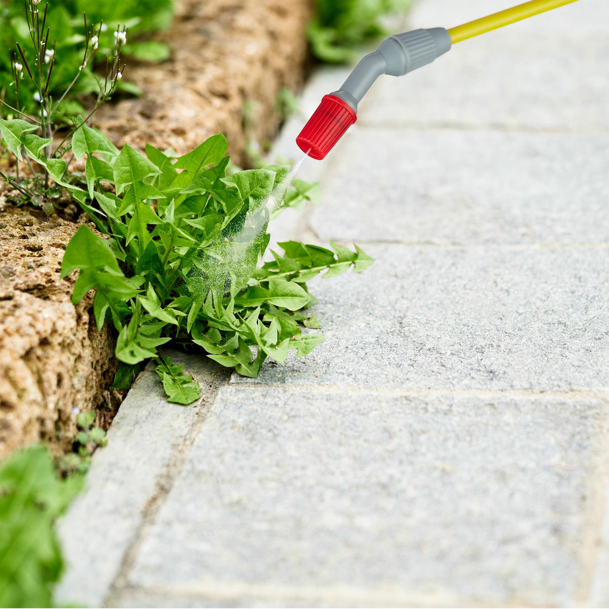 DRUCKSPRÜHER - Weiß, Kunststoff (65/45/17.5cm) - Relaxdays