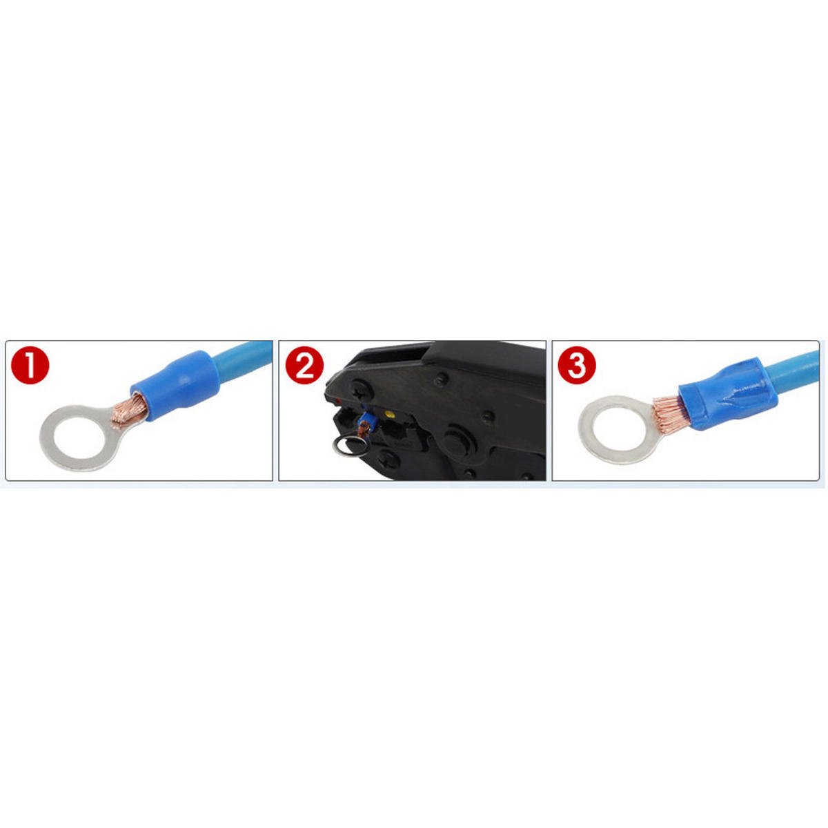ZANGE – Geeignet für Drähte mit einem Querschnitt von 0,5 bis 6 mm² – LY-03C - Blau, Metall (22.5/1/1cm) - DCA