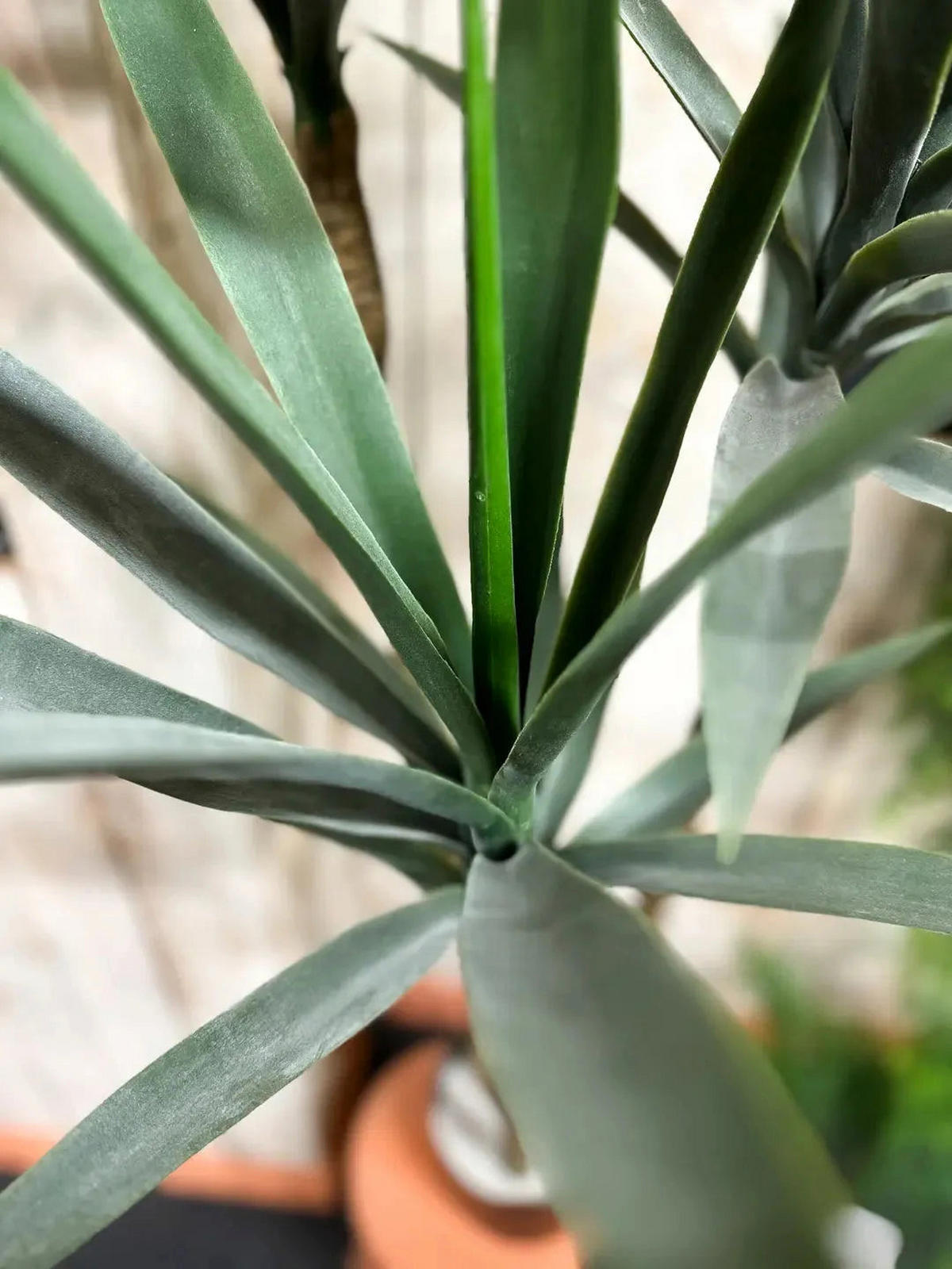 YUCCAS Künstliche Yucca Palme - Ramona 160 cm - Grün, Kunststoff (160cm) - aplanta